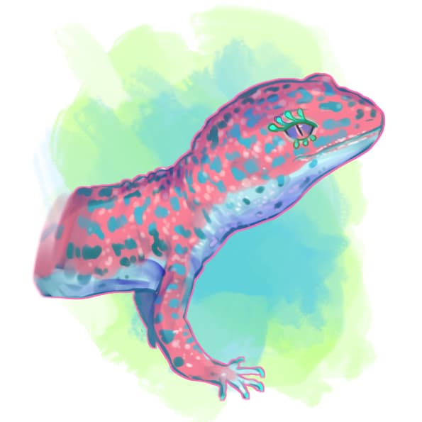 icon