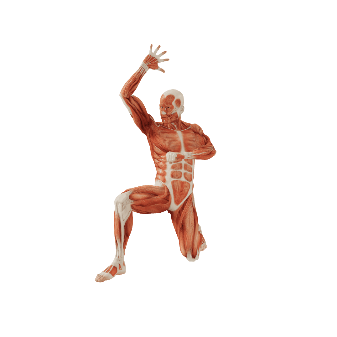 Kneeling Male poses POSEMANIACS Royalty free 3d pose reference for