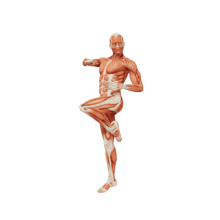 Fighting Male Poses Posemaniacs Royalty Free 3d Pose Reference For