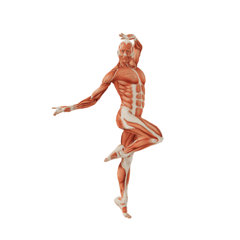Fighting Male Poses Posemaniacs Royalty Free 3d Pose Reference For