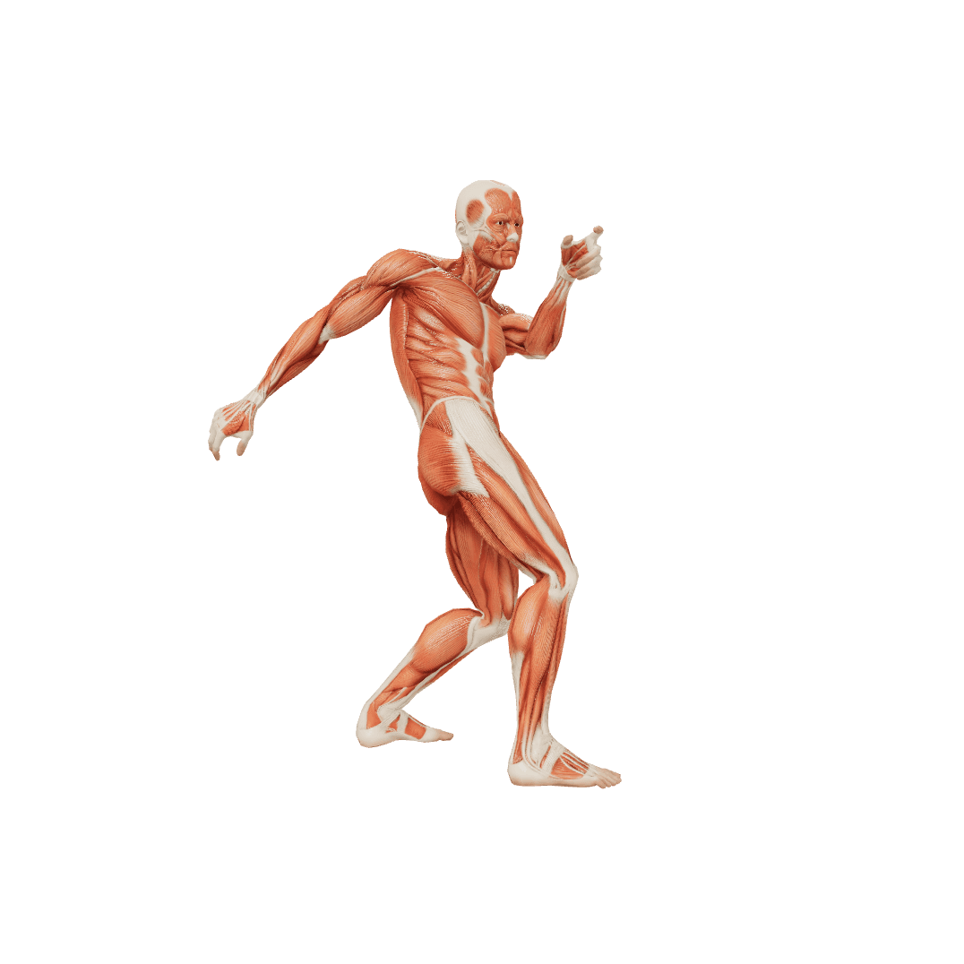 Fighting Male Poses Posemaniacs Royalty Free 3d Pose Reference For