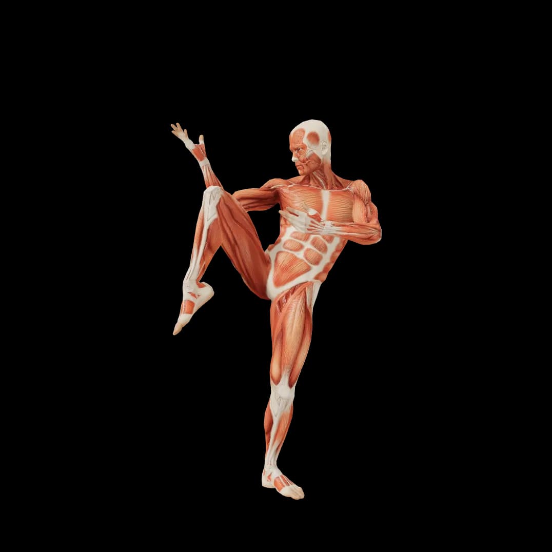 Pose 0000799 female standing fighting running sports fool