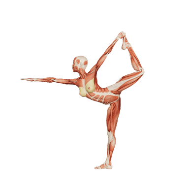 Yoga Female poses | POSEMANIACS - Royalty free 3d pose reference for