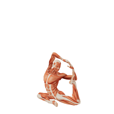 Yoga Male poses | POSEMANIACS - Royalty free 3d pose reference for all