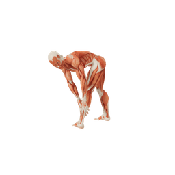 Sexy Male poses | POSEMANIACS - Royalty free 3d pose reference for all