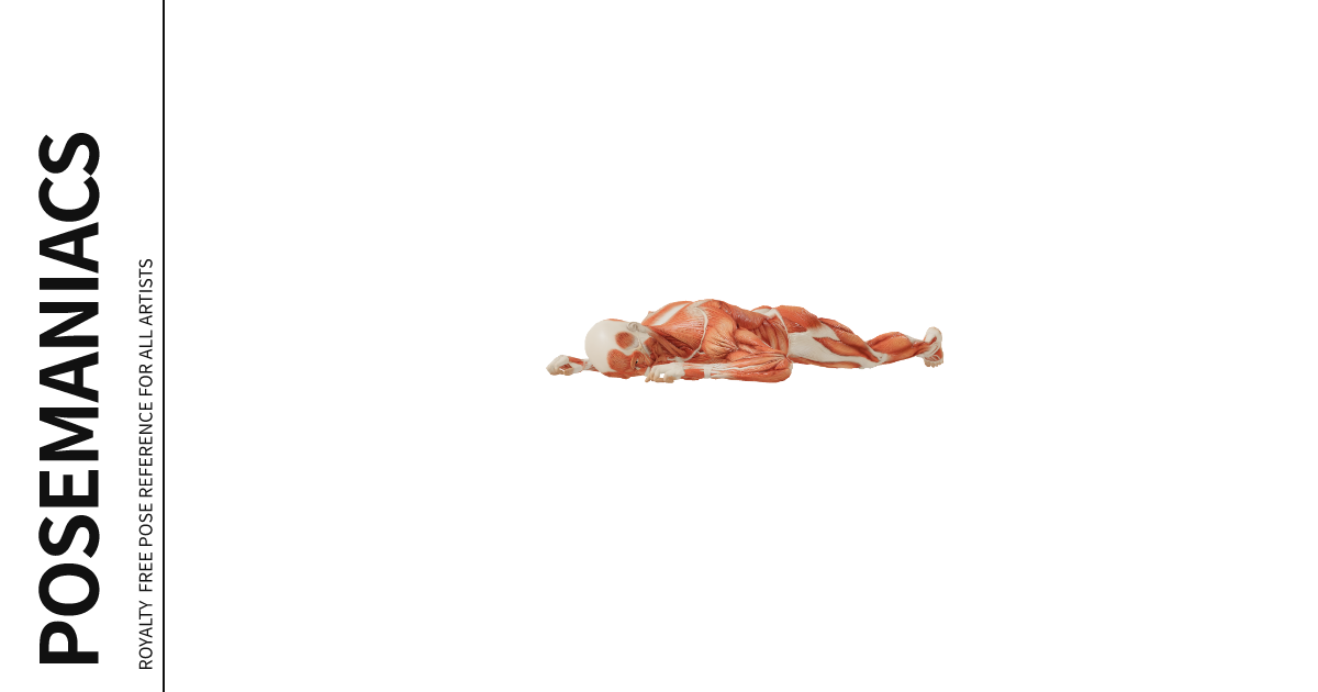 Pose 0000406, Male, Lying, On stomach, On side, Relax