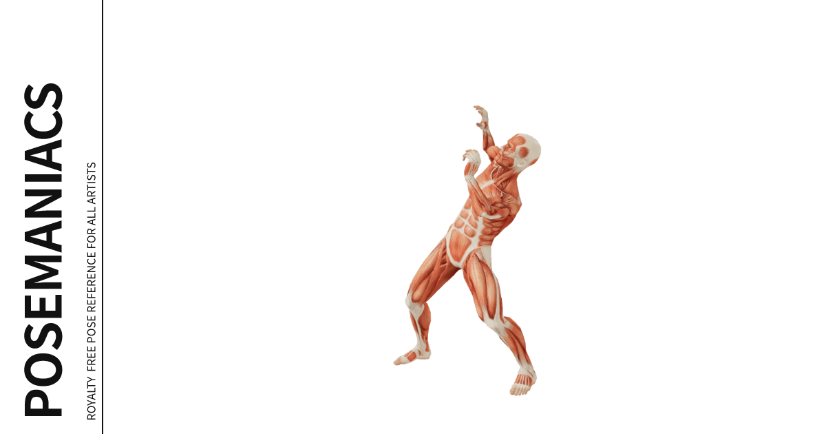 Pose 0000741, Female, Standing, Daily life, Damage, Fool | POSEMANIACS ...